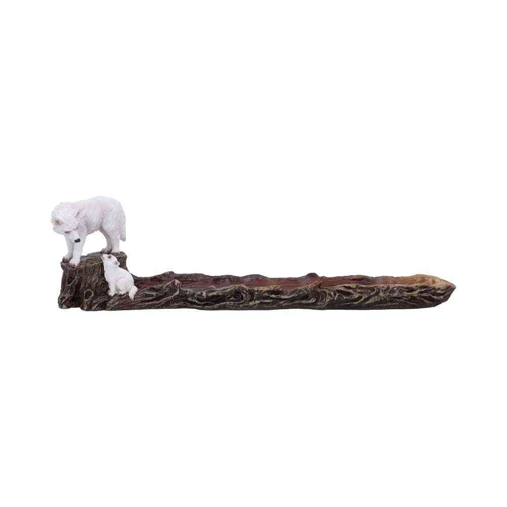 Nemesis Now - Wild Guide 28.5cm Incense burner - Multicolours